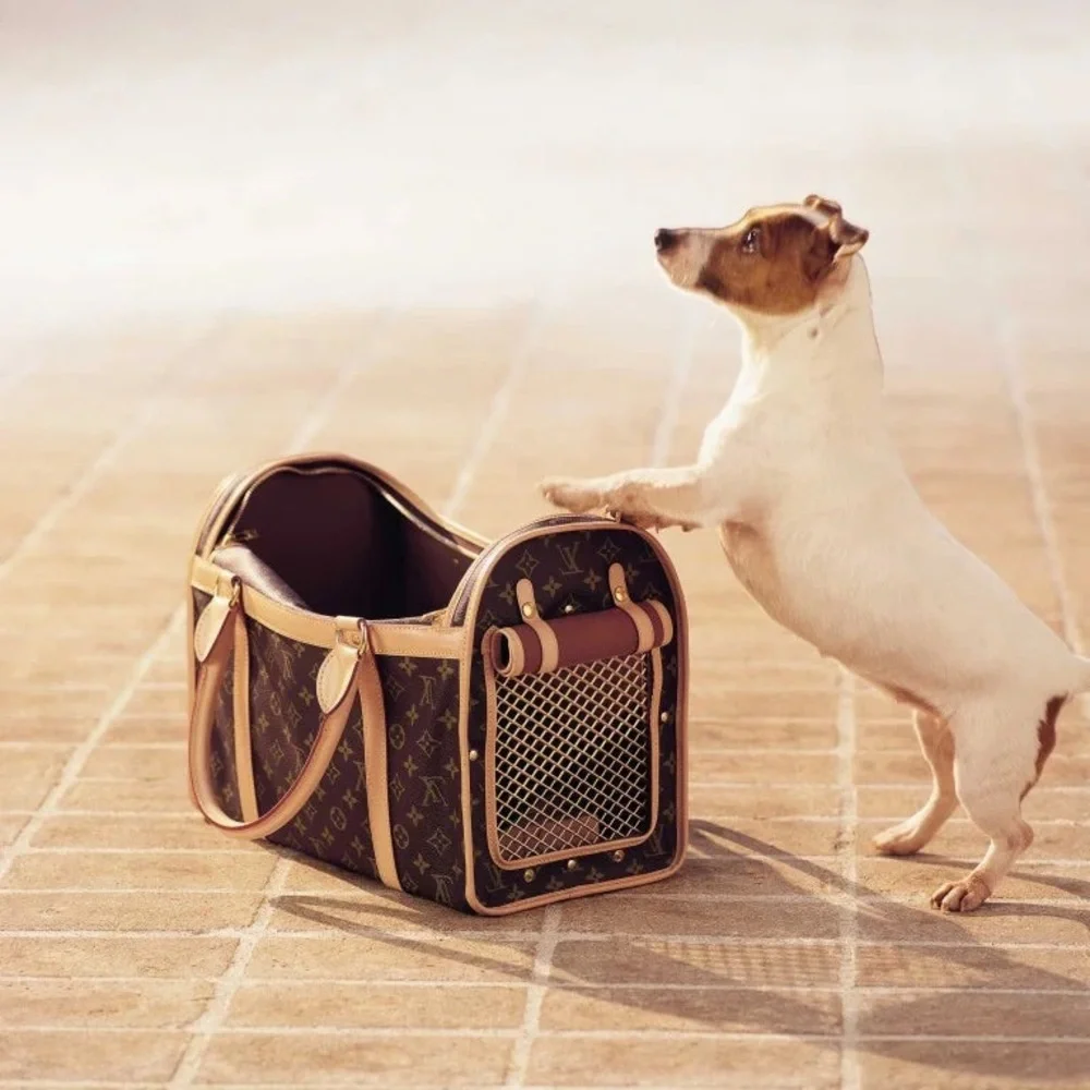 Louis Vuitton Sac Chien Monogram Pet Carrier Dog Bag LV - Picture 3 of 17